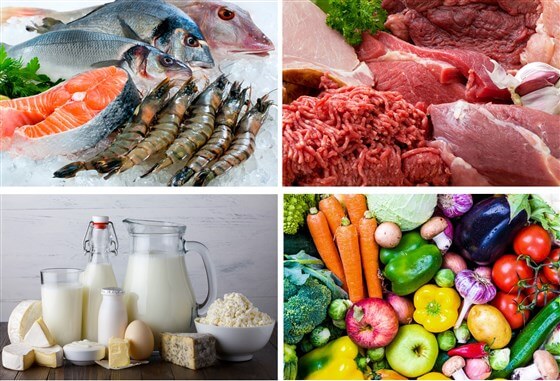 Kylförvaring av fisk, kött, mejeriprodukter och grönsaker - TITAN Containers