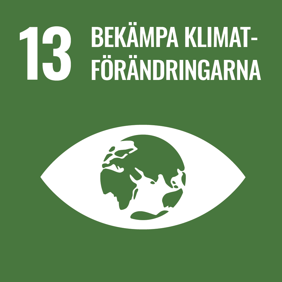 SE-SDG_Icon-RBG-13