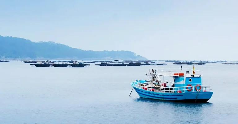 Forskning om tonfisk